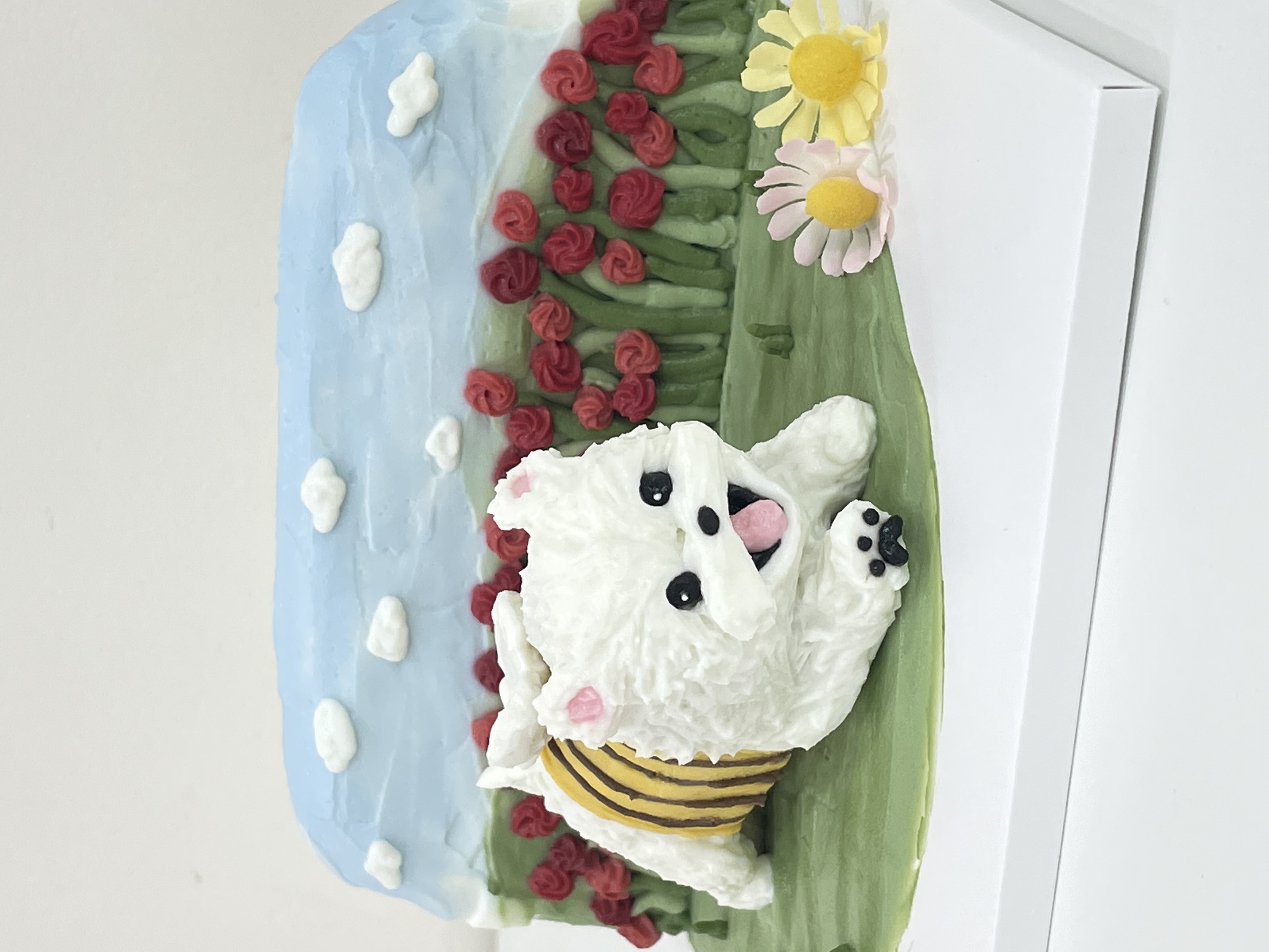 펫푸드실무과정(반려동물케이크) 1회차