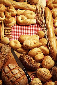 제과기능사&제빵기능사(이론+실기)자격증과정 1회차