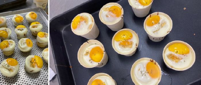 월드호텔요리제과커피학원, 월드호텔외식직업전문학교