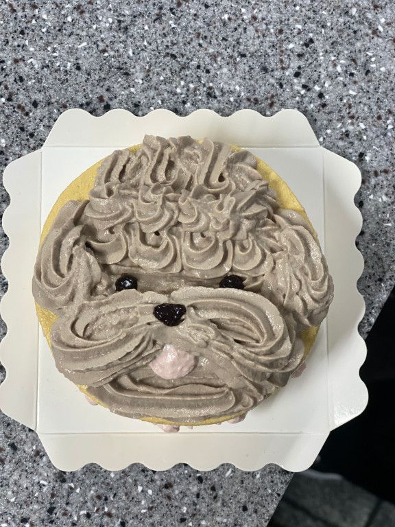 월드호텔요리제과커피학원, 월드호텔외식직업전문학교